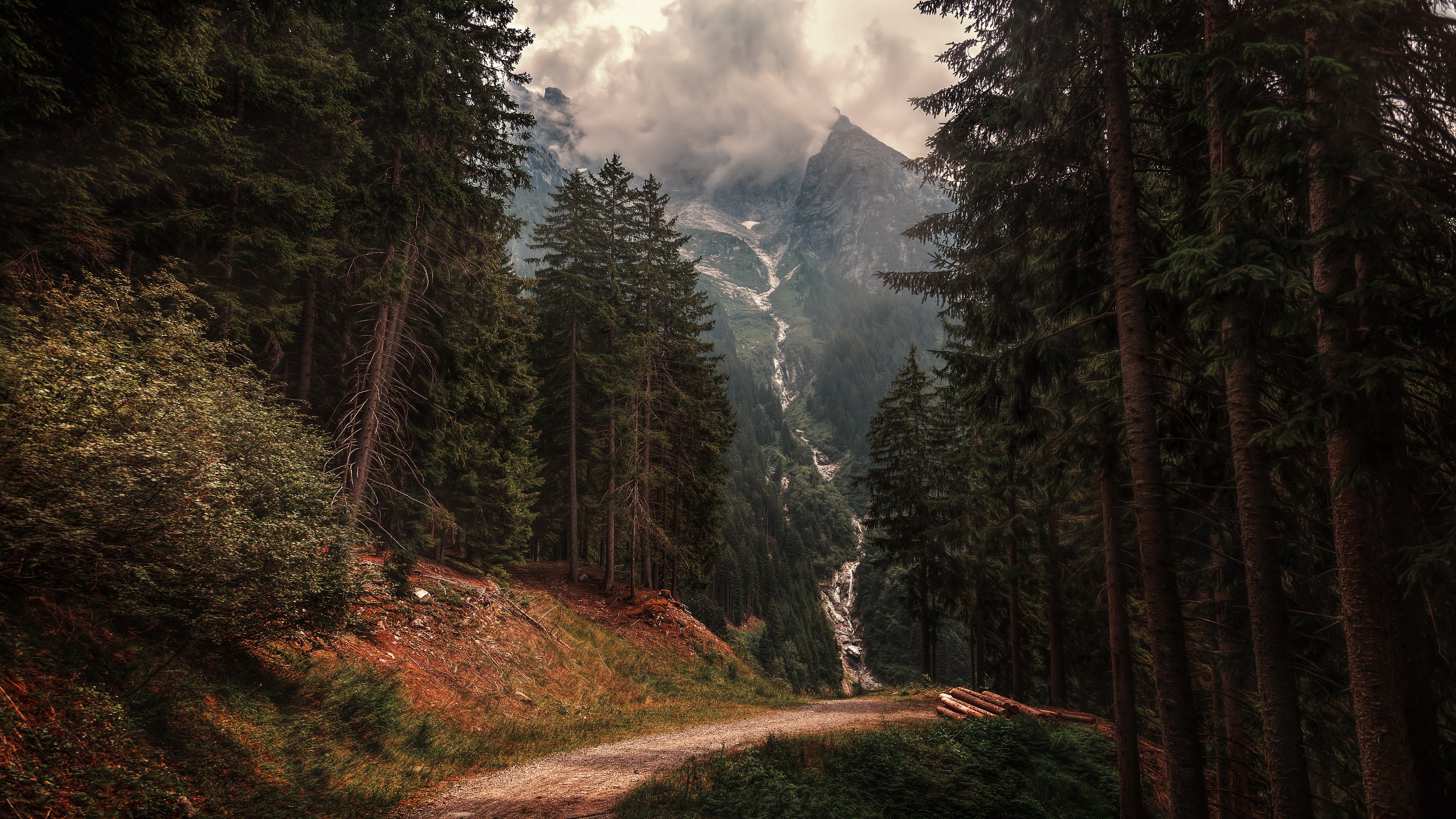 /tlc/gruvbox-wallpapers/src/branch/main/dark/gruv-forest-mountain.jpg