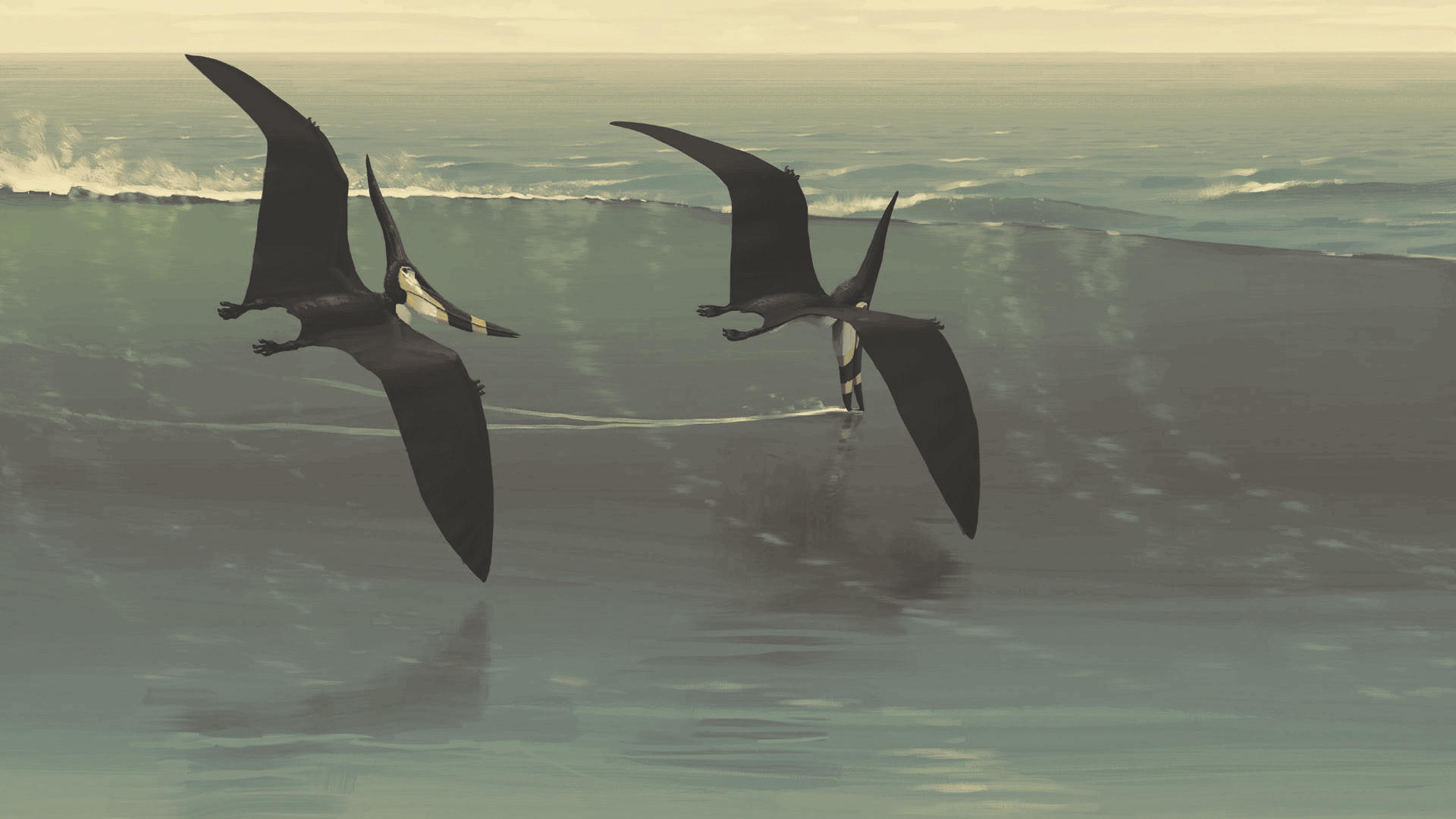 /tlc/gruvbox-wallpapers/src/branch/main/light/wallhaven-nrzr6w.jpg
