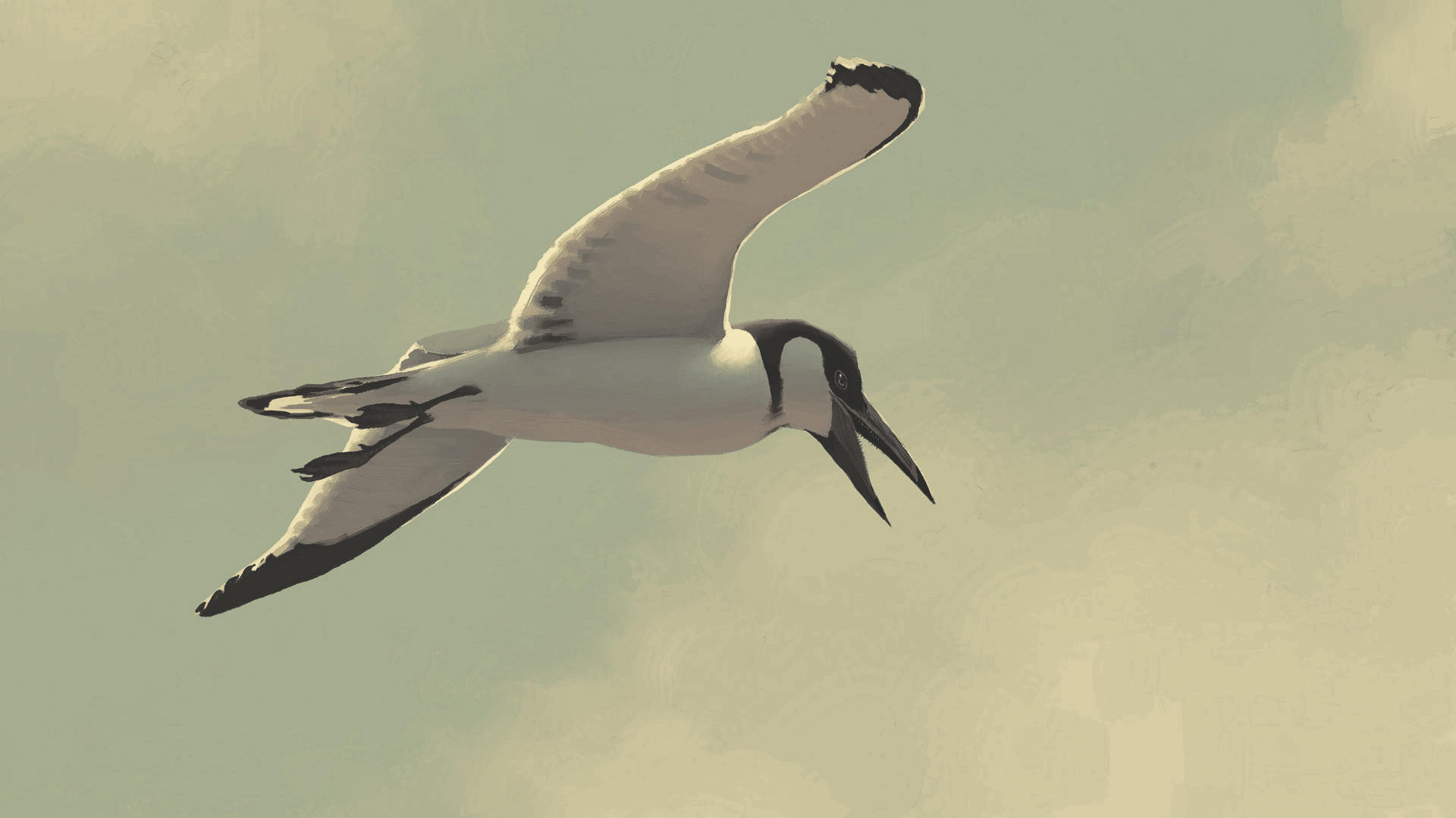 /tlc/gruvbox-wallpapers/src/commit/3e46cafa3651e18172b6a94039e239437f0faf91/light/wallhaven-4oe5j9.jpg